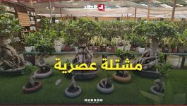 مشتلة عصرية تواكب المعايير العالمية