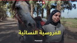 ليديا.. فارسة جزائرية تحول شغفها بالخيل إلى مشروع للفروسية النسائية.. #شاهدوا