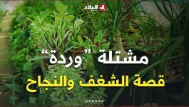 الطارف: مشتلة "وردة" ببحيرة الطيور.. من حب الطبيعة إلى صناعة النجاح