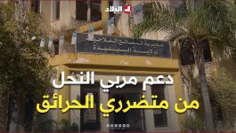 البليدة: دعم مربي النحل المتضررين من الحرائق لاستئناف نشاطهم