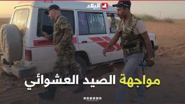 "القضاء على الصيد العشوائي".. تكوين صيادين محترفين من أجل حماية الثروة الحيوانية
