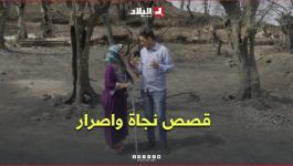 حرائق جيجل.. قصص نجاة وإصرار تُكتب وسط النيران