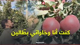 "كنت أنا وخاواتي بطّالين".. شاهدوا كيف حوّل فلاح وأخوته أرضهم إلى مستثمرة فلاحية