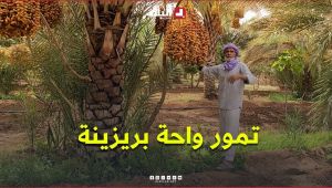 "وفرة في الإنتاج وجودة في النوعية".. #تعرفوا على #تمور واحة بريزينة