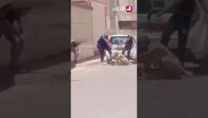 " ضربو السيد وداولو الدراهم " .. توقيف 4 أشخاص اعتدوا على مواطن وسلبوه مبلغا ماليا بـ #ورقلة