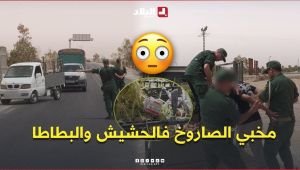" مخبي الصاروخ 💊وسط الحشيش والبطاطا 😱 " .. الدرك الوطني  يوقف شخص ويحجز 34905 كبسولة نوع #بريغابالين