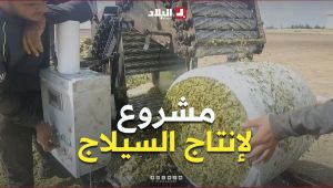 إنتاج "السيلاج" في خنشلة.. تجارب فلاحية واعدة تنتظر الدعم