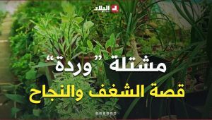 الطارف: مشتلة "وردة" ببحيرة الطيور.. من حب الطبيعة إلى صناعة النجاح