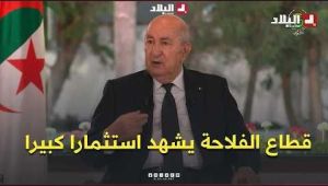 الرئيس تبون: "قطاع الفلاحة يشهد استثمارا كبيرا ويستوجب مد يد المساعدة"