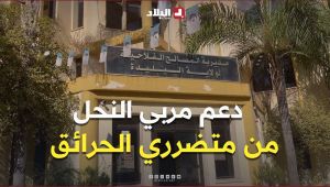 البليدة: دعم مربي النحل المتضررين من الحرائق لاستئناف نشاطهم
