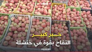 #خنشلة: افتتاح السوق الوطني للتفاح خطوة استراتيجية لدعم الفلاح وتعزيز الاقتصاد المحلي
