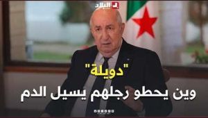 الرئيس تبون: "في بعض الأحيان نتكلم على "دويلة" وين يحطو رجلهم يسيل الدم.. ورانا حابين يخطونا"
