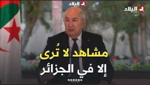 الرئيس تبون: رأيت أعوان شركة سونلغاز وهم يعملون على إعادة التيار الكهربائي بالقرب من بؤرة حريق