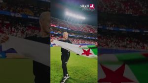 مساعد بيتكوفيتش يحتفل بحسم تأهل الخضر إلى الدور الـ32 من المونديال .. #شاهدوا
